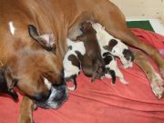 Bild 14